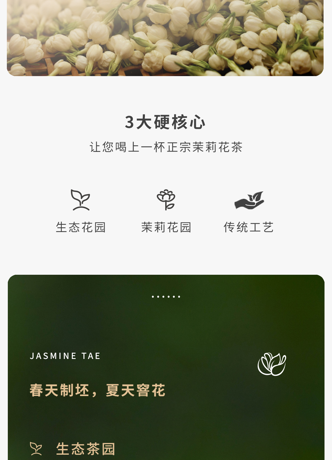 茉莉花茶详情250g_04.jpg