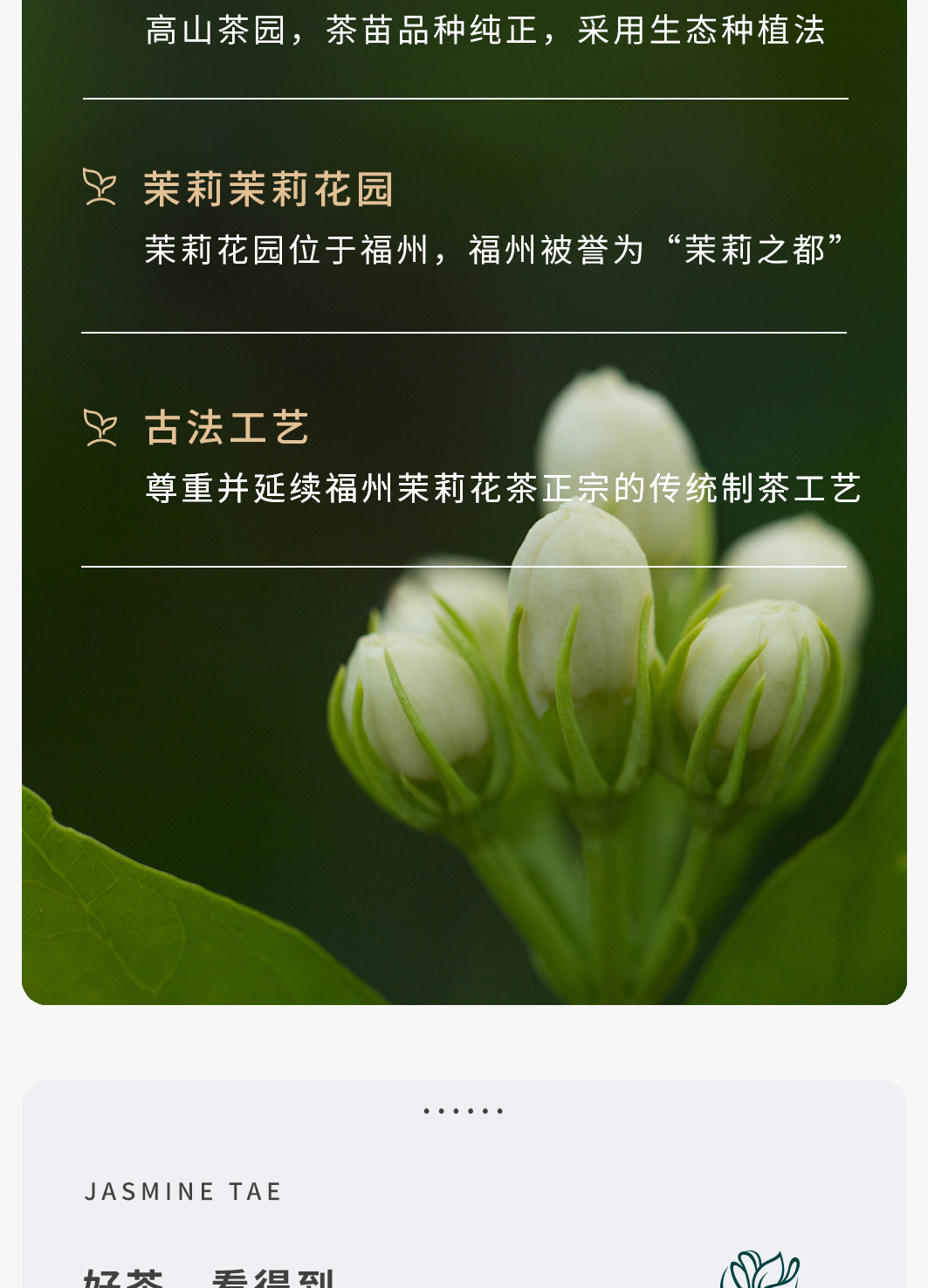 茉莉花茶详情250g_05.jpg